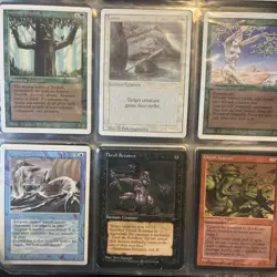 Magic the Gathering Old School Cards My Whole Collection - Image 1