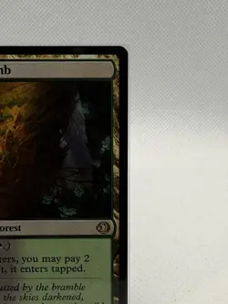 Overgrown Tomb - Lorwyn Eclipsed (ECL) Rare Land Magic The Gathering Card #266 - Image 2