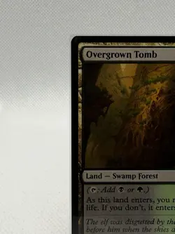 Overgrown Tomb - Lorwyn Eclipsed (ECL) Rare Land Magic The Gathering Card #266 - Image 5
