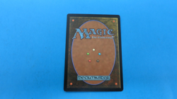 PLAGUE SPITTER HORROR INVASION MTG MAGIC THE GATHERING NM / UNPLAYED - Image 2