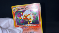 Light Arcanine Holo No.059 Neo Destiny 2001 NM Rare Japanese Pokemon Card - Image 2