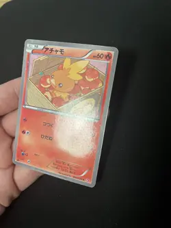 Torchic 005/020 PL Japanese Pokemon Cards Shiny Collection Holo - Image 1