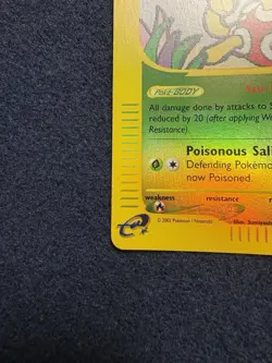 Pokemon Shuckle 96/144 Skyridge (2003) NM/MINT REVERSE HOLO RARE - Image 5
