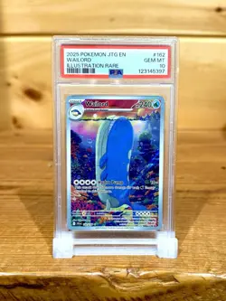 Wailord PSA 10 Pokemon Journey Together Illustration Rare #162/159 GEM MINT - Image 1