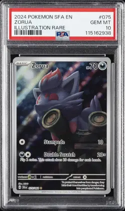 2024 POKEMON SFA EN-SHROUDED FABLE ILLUSTRATION RARE #075 ZORUA PSA 10 - Image 1