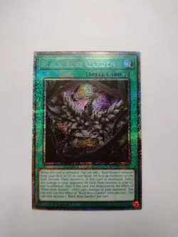 Black Rose Garden DOOD-EN055 Starlight Rare 1st Edition NM Yugioh - Image 1