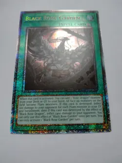 Black Rose Garden DOOD-EN055 Starlight Rare 1st Edition NM Yugioh - Image 2