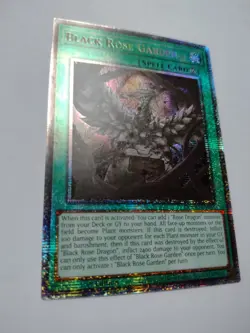 Black Rose Garden DOOD-EN055 Starlight Rare 1st Edition NM Yugioh - Image 3