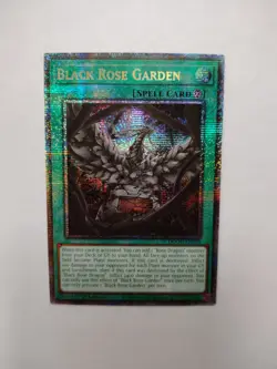 Black Rose Garden DOOD-EN055 Starlight Rare 1st Edition NM Yugioh - Image 4