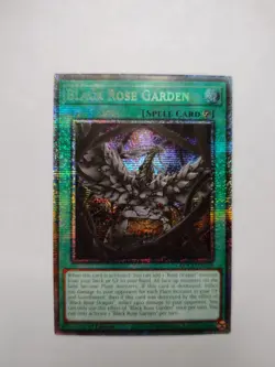 Black Rose Garden DOOD-EN055 Starlight Rare 1st Edition NM Yugioh - Image 5