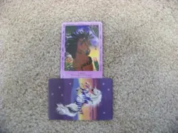 Bella Sara trading card - Native Lights - Laguna 36/55 - rare - Image 1