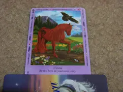 Bella Sara trading card - Native Lights - Fiona 34/55 - rare - Image 1