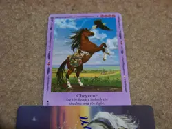 Bella Sara trading card - Native Lights - Cheyenne 32/55 - rare - Image 1