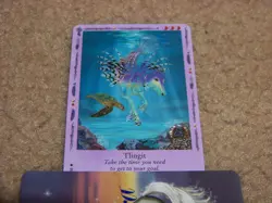 Bella Sara trading card - Native Lights - Tlingit 25/55 - common - Image 1