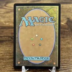 Wilds of Eldraine #256 Evolving Wilds Magic The Gathering MTG Foil - Image 2