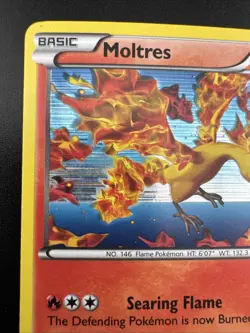 Moltres 14/99 Pokemon Black & White Next Destinies Holo Rare MP - Image 4