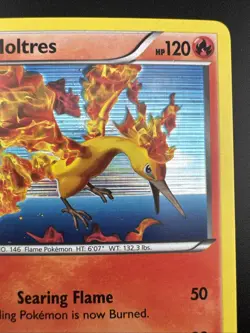Moltres 14/99 Pokemon Black & White Next Destinies Holo Rare MP - Image 5