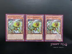 YuGiOh Predaplant Chlamydosundew LDS3-EN071 (x3) 1st Ed “Predaplant Support” - Image 1
