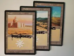 Magic The Gathering - 3x Signed Plains (mtg) Portal - Image 1