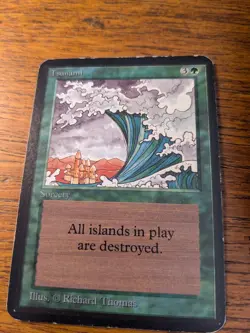 ALPHA Tsunami MTG - Rare 1993 (LEA) - Heavily Played (HP) - Authentic Alpha - Image 1