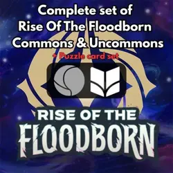 Lorcana Rise of the Floodborn, FullSet Commons & Uncommons + Puzzle set 130cards - Image 1