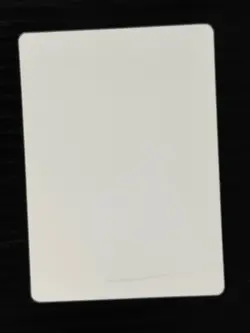 Magic MTG Italian Revised Earthquake Artist Proof - Lightly Played - See Video! - Image 3