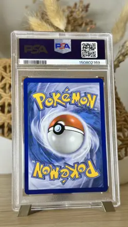 2025 POKEMON MEP EN-ME BLACK STAR PROMO #023 MEGA CHARIZARD X EX PSA 9 MINT 🔥🐲 - Image 2