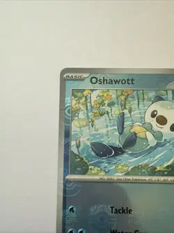 NM Oshawott (Master Ball Pattern)021/086/086 Common SV: White Flare Pokemon - Image 4