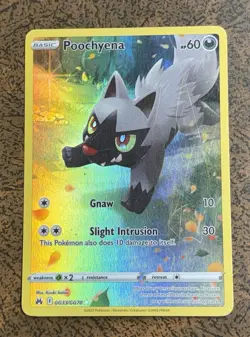 Poochyena GG33/GG70 Crown Zenith Galarian Gallery Ultra Rare Holo Pokemon Card - Image 1