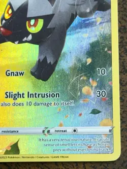 Poochyena GG33/GG70 Crown Zenith Galarian Gallery Ultra Rare Holo Pokemon Card - Image 4