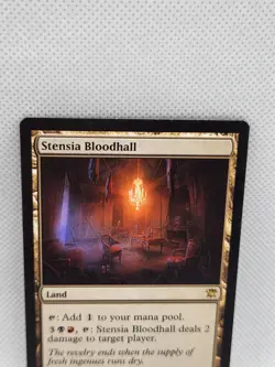 Stensia Bloodhall Innistrad Magic The Gathering MTG Rare Land Card 2011 #247 - Image 2