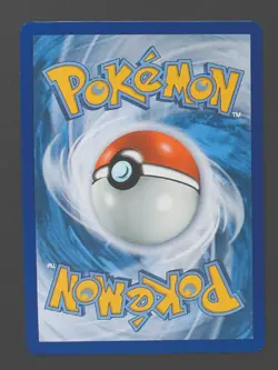 Terapagos ex 170/142 - Stellar Crown Pokemon TCG - NM - Image 2