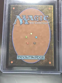 The Cabbage Merchant #203 (Extended Art) Avatar (TLE) - Legal Foil - Image 2