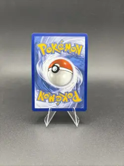 Charmander Bulbasaur Squirtle Pokemon TCG First Partner Illustration Collection - Image 3