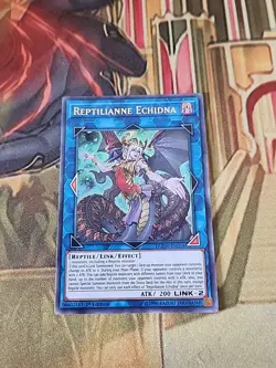 Reptilianne Echidna - DUOV-EN016 - Ultra Rare - 1st Ed NM Yugioh - Image 1