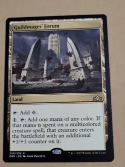 MTG Guildmages' Forum Guilds of Ravnica 250/259 Regular Rare - Image 1