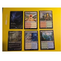 MTG Land Lot Regular English: Temple Garden, Watery Grave, Hallowed Fountain + - Image 1
