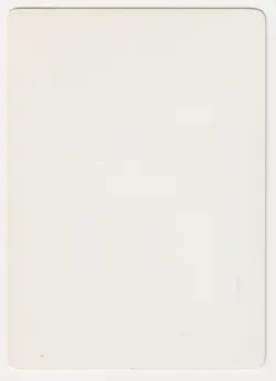 Signed Chinese Jandor's Saddlebags Proof MP 4th FBB Artist Dameon Willich MTG! - Image 2