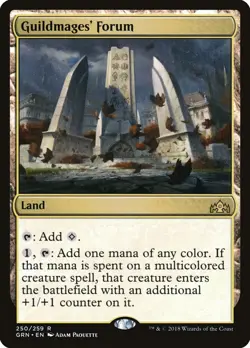 Guildmages' Forum | MTG Guilds of Ravnica #250 | M/NM - Image 1
