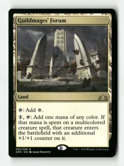 Guildmages' Forum - #250 - Non Foil - MTG - Near Mint - Image 1