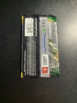 Pokemon Evolving Skies Booster Pack 10 Cards Pack New Sealed Official Pkmn TCG - Image 2