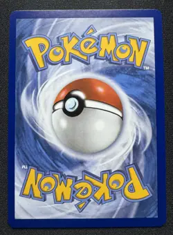 Pokemon First Partner Illustration Collection Series 1 Kanto Gen 1 Starters Set - Image 4