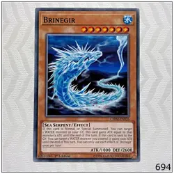 Brinegir - CHIM-EN026 - Common 1st Edition Yugioh - Image 1
