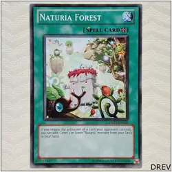 Naturia Forest - DREV-EN051 - Common Unlimited Yugioh - Image 1