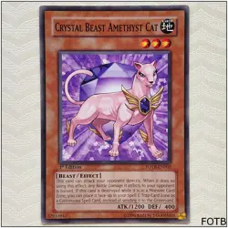 Crystal Beast Amethyst Cat - FOTB-EN002 - Common 1st Edition Yugioh - Image 1