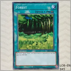 Forest - LOB-EN046 - Common Unlimited Yugioh - Image 1