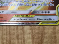 Reshiram & Charizard GX 007/095 Double Rare Double Blaze Pokemon - CE9704 - Image 5