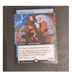 Triskaidekaphile Extended Art - Image 1