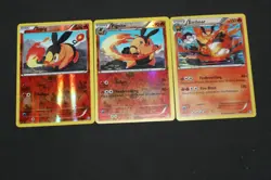 Pokemon Card Lot EX-LP Reverse Holo Tepig/Pignite,Holo Emboar Boundaries Crossed - Image 1