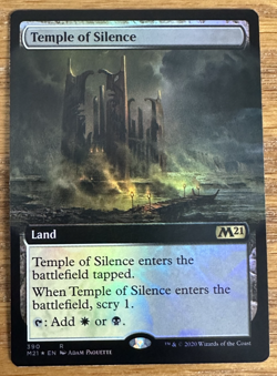 MTG Core Set 21, Temple of Silence - Borderless Foil - Image 1